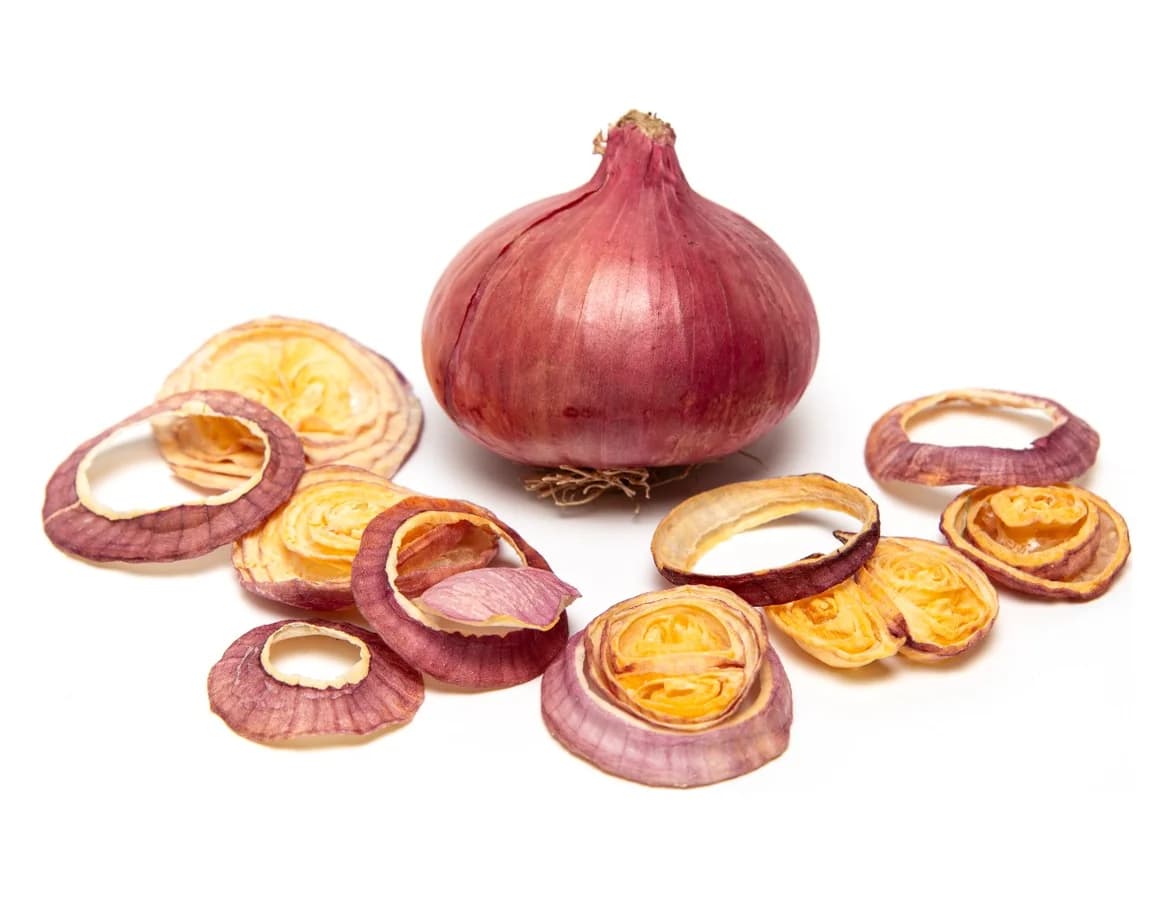 A whole red onion beside slices of the same onion after vacuum drying.
